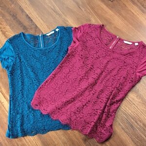 New York & Company Teal and Berry Lace Short Sleeve Tops